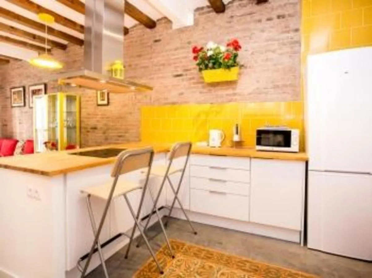 La Meva Llar Salva-64 Apartment Barcelona Spain
